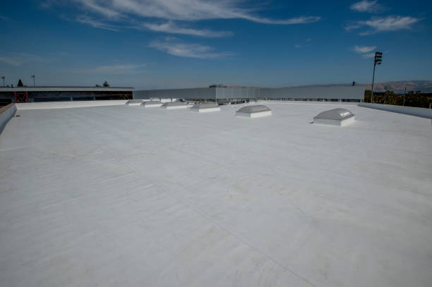 Best Roof Maintenance and Cleaning  in Big Rapids, MI