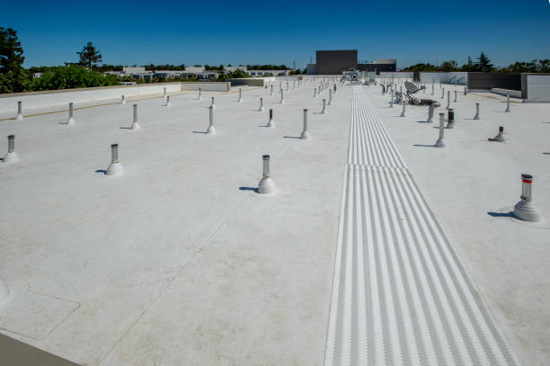 Best Roof Insulation Installation  in Big Rapids, MI